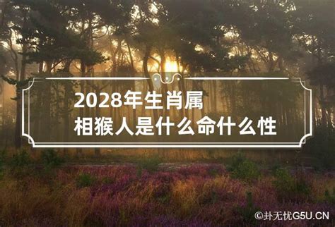 2028年五行属什么|2028年属什么生肖